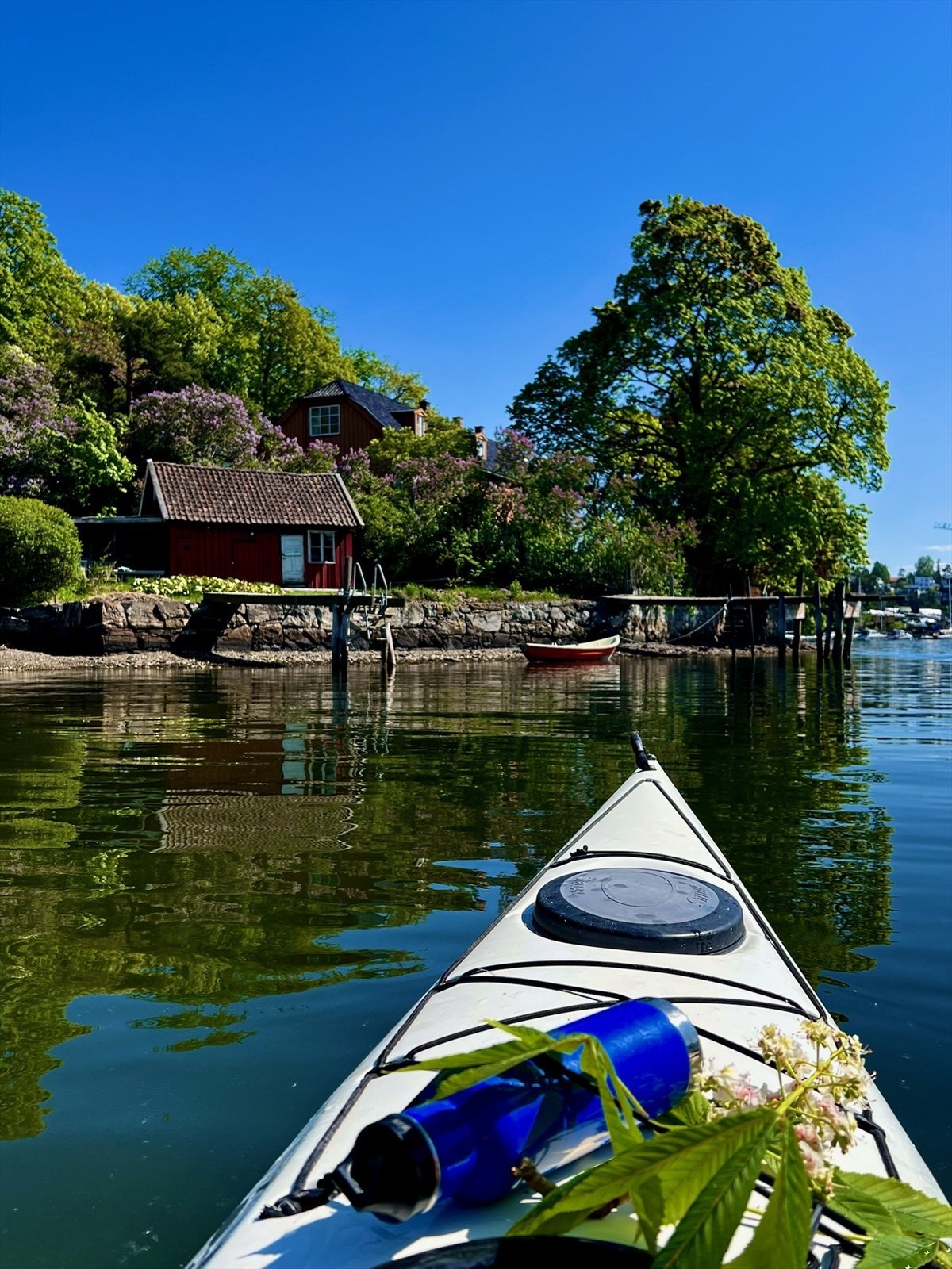 Nyt en rolig morgen med blikkstille vann på fjorden..en bedre start på dagen finner du neppe Galleribilde