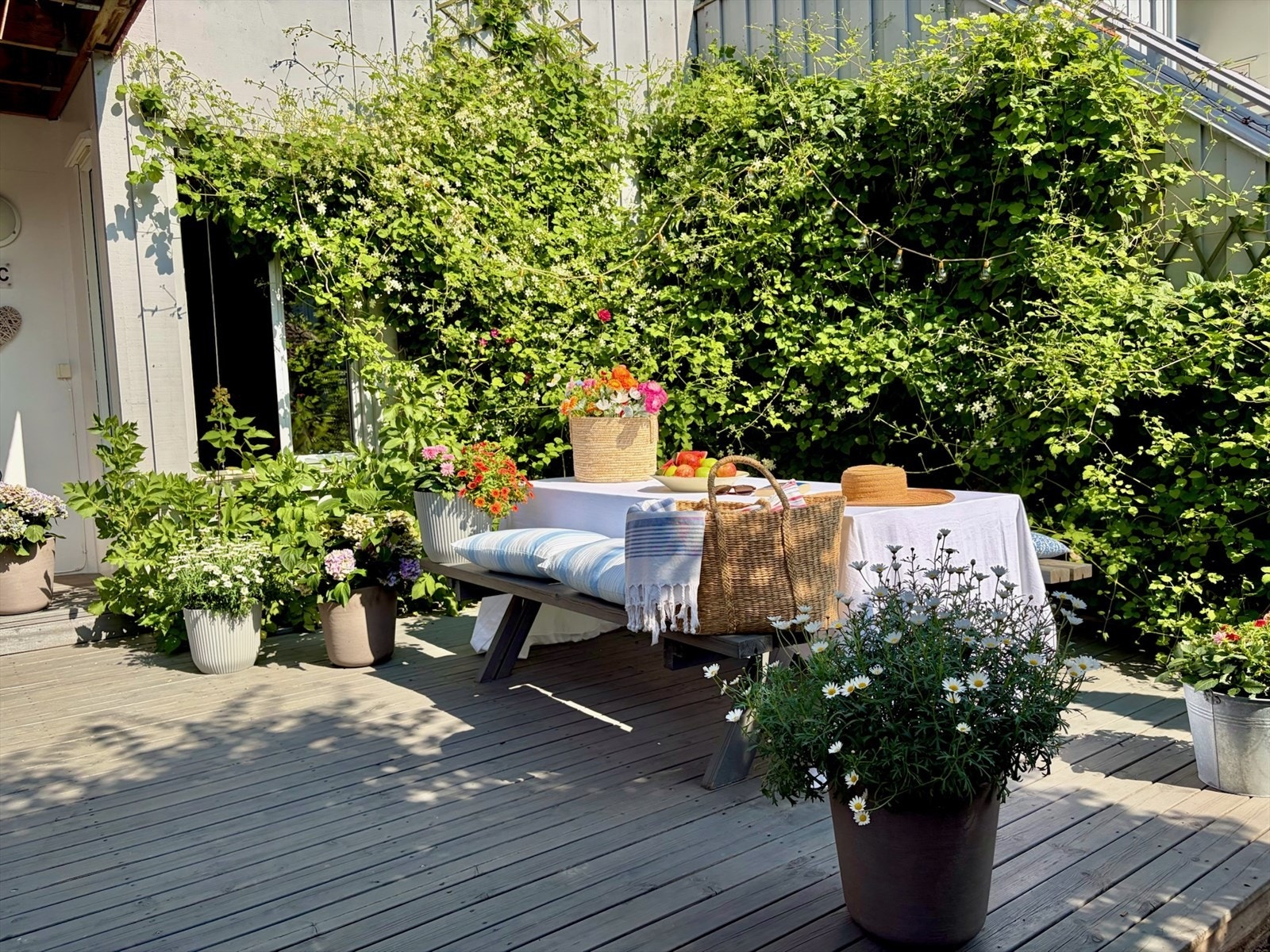Nyt ettermiddags- og kveldssolen på en skjermet terrasse med utsyn mot den bilfrie gangveien Galleribilde