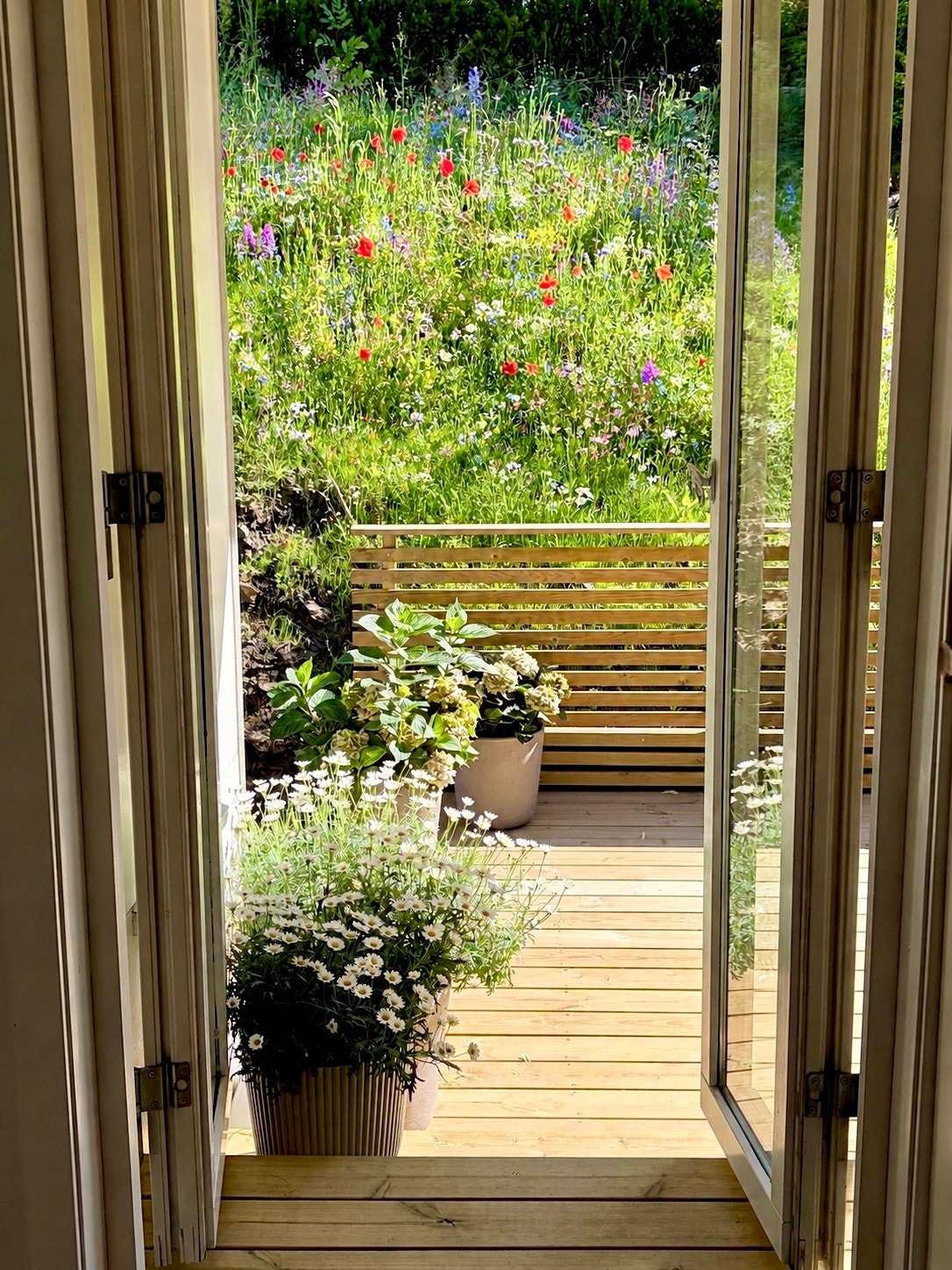 Gå direkte ut fra kjøkkenet til den skjermede terrassen omgitt av vakre engblomster Galleribilde