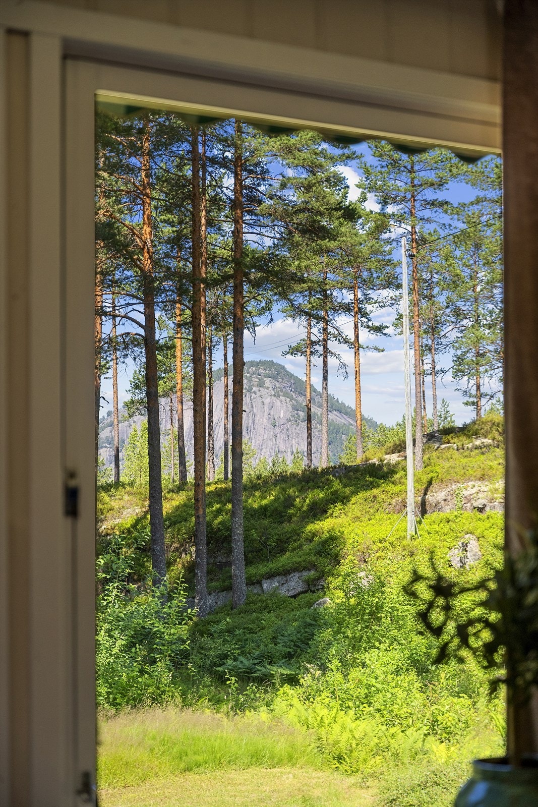 Utsikt fra stue Galleribilde