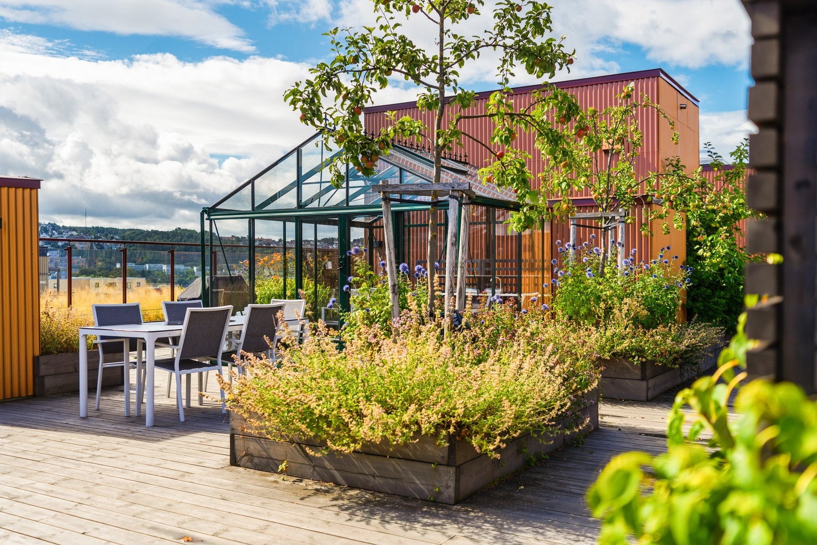 Koselig og grønn takterrasse Galleribilde