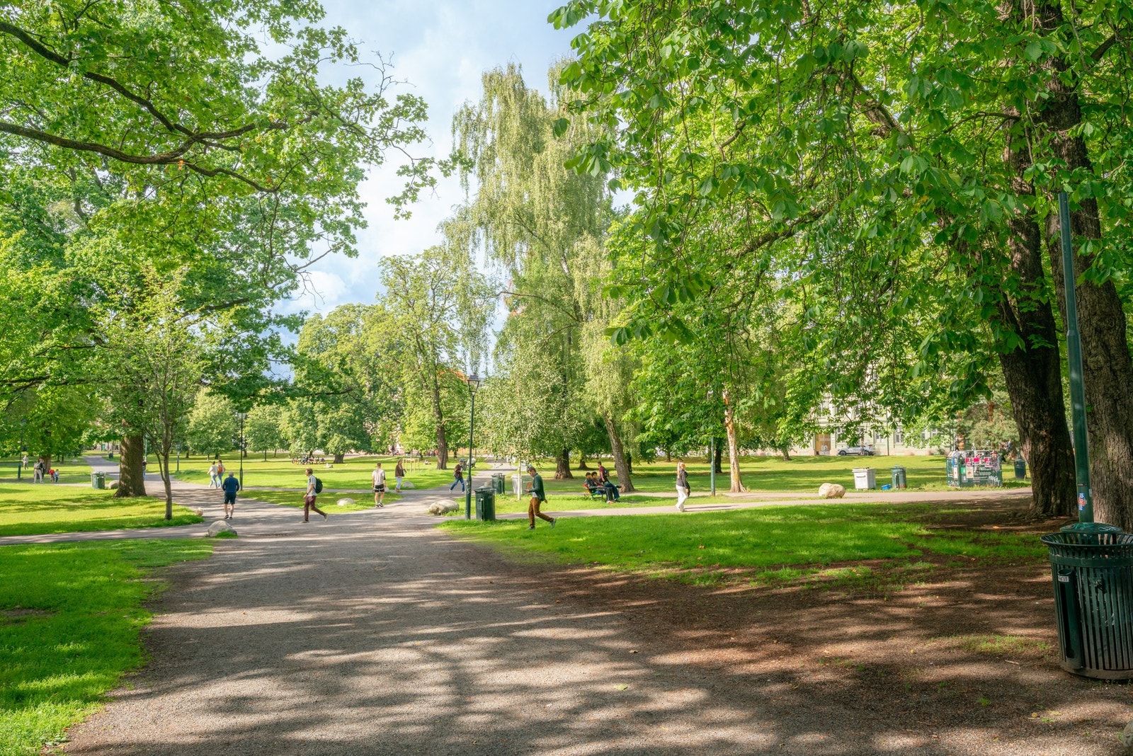 Sofienbergparken. Galleribilde