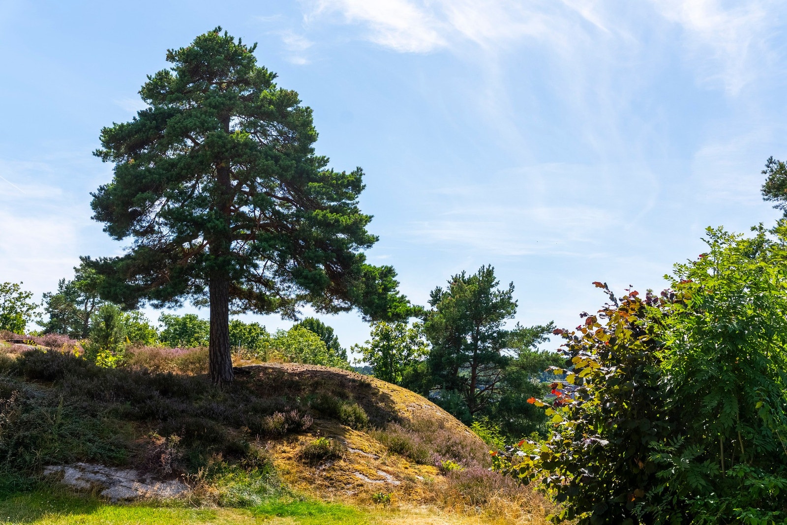 Et fredelig og nydelig skue fra uteplassen Galleribilde