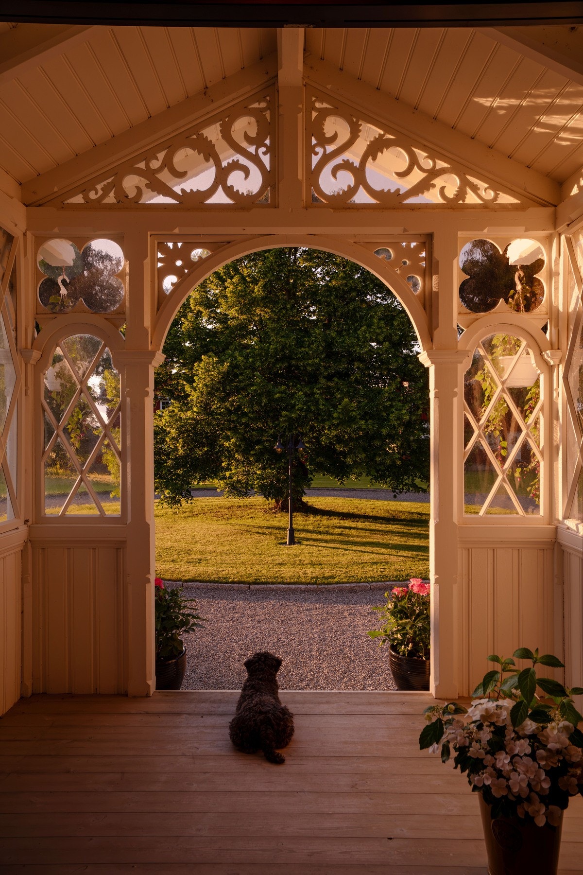 Galleribilde