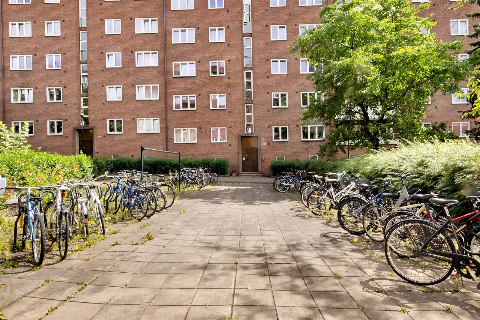 Felles sykkelparkering. Galleribilde
