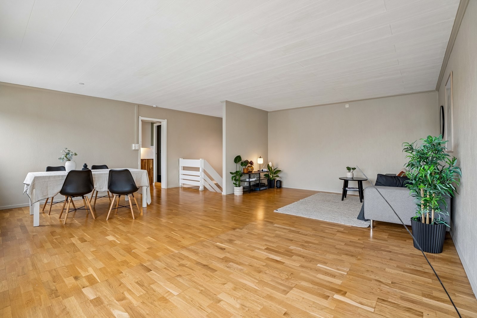 Velkommen til Bjørndalsbrotet 242! Galleribilde