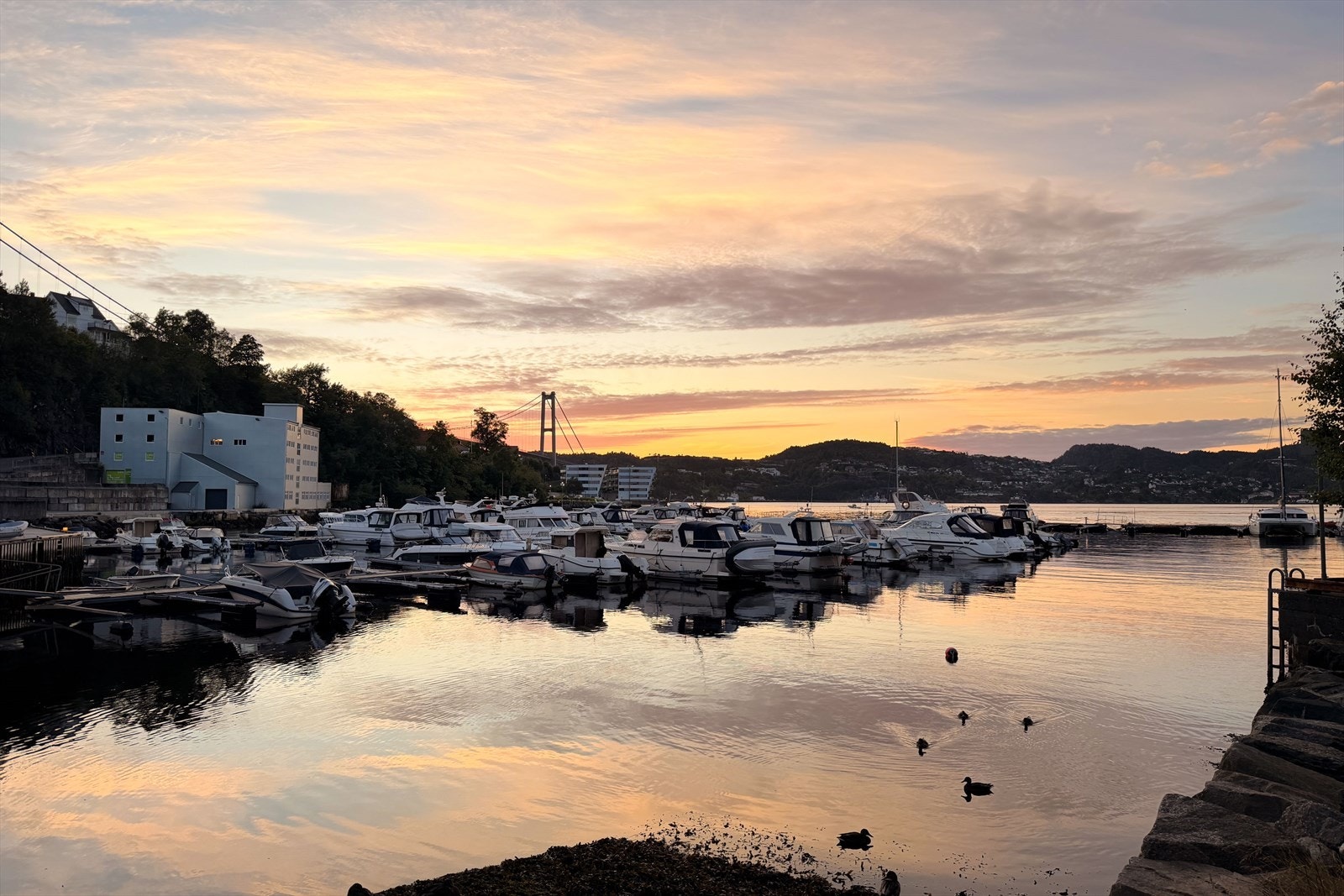 Marinaen i Kjøkkelvik med mulighet for leie av båtplass samt sauna og badefasiliteter Galleribilde
