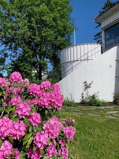 Detalj Galleribilde