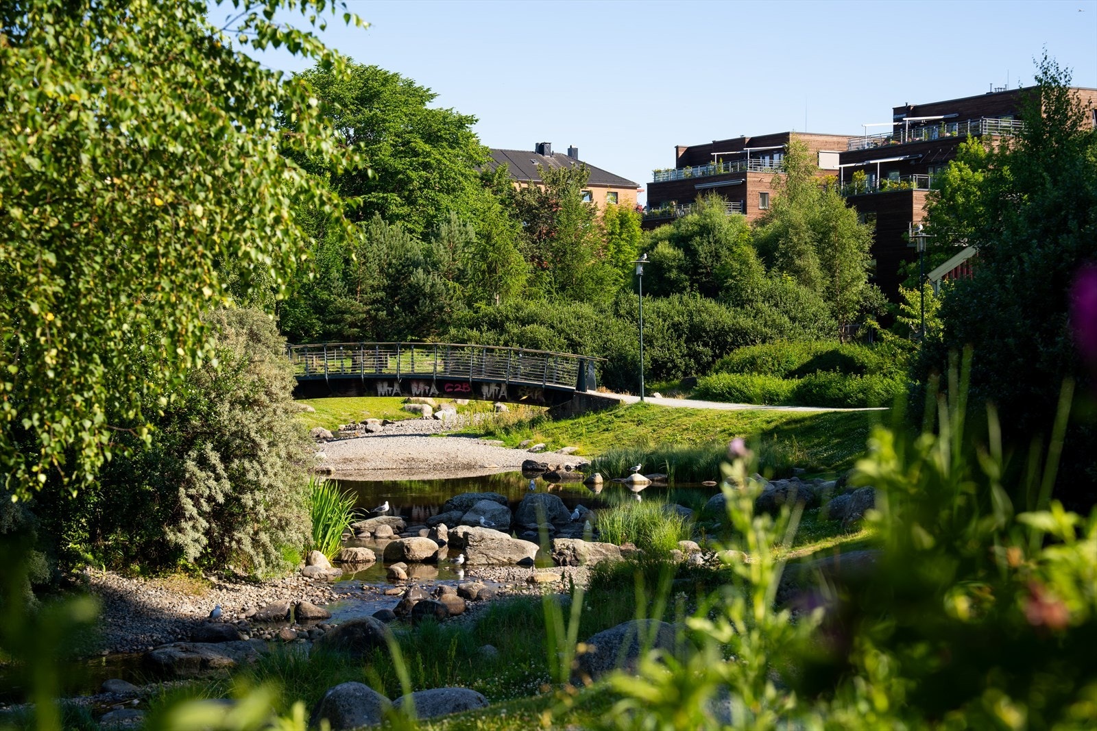 I området finner vi flere fine grøntområder, blant annet Iladalen park. Galleribilde