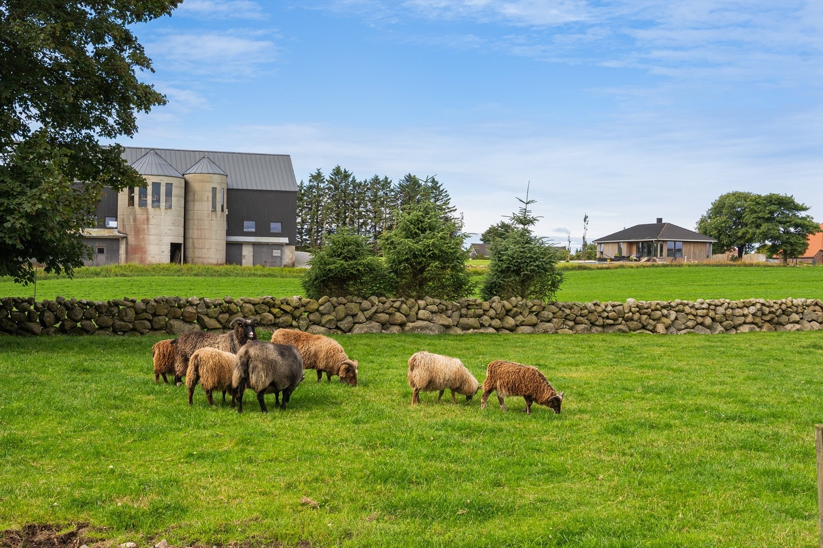Kanskje er det nettopp kombinasjonen av naboskap, grønne omgivelser og en enkel familiehverdag som gjør at selger kaller dette verdens beste nabolag . Galleribilde