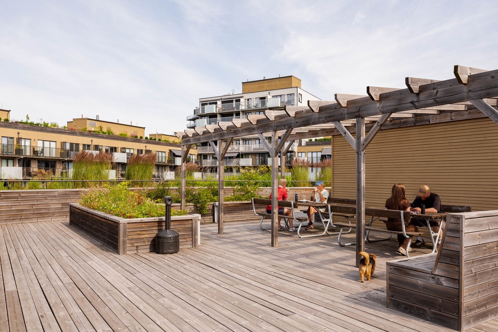 I tillegg til balkong har borettslaget 4 felles takterrasser som kan benyttes av beboere. Galleribilde