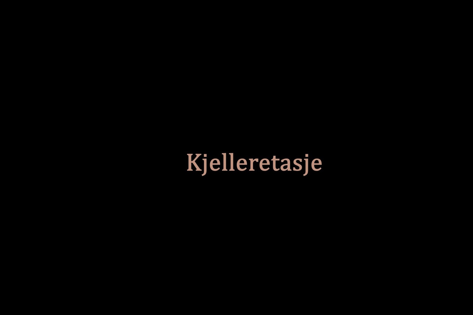 Kjelleretasje Galleribilde