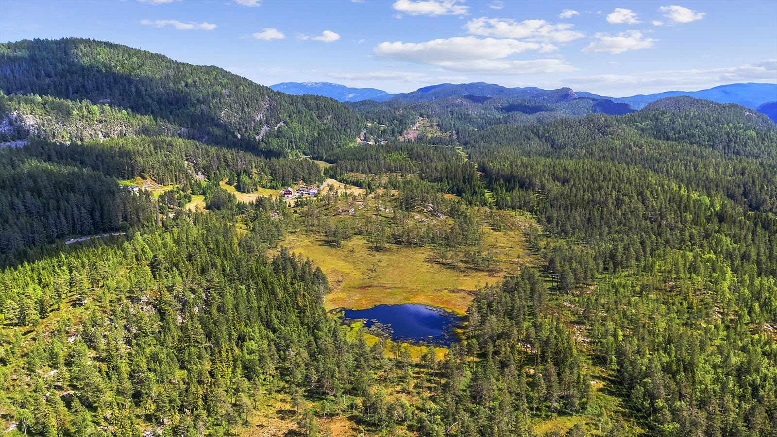 Landskapet byr på turterreng med skog, myrområder og vann. Galleribilde
