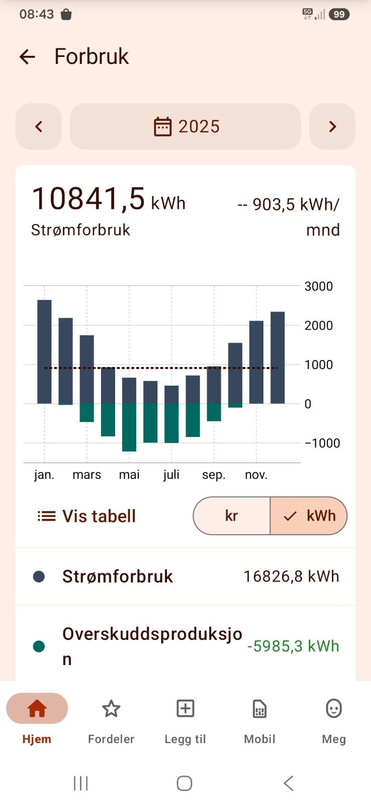 Boligen er energieffektiv, med lave strømutgifter. Galleribilde