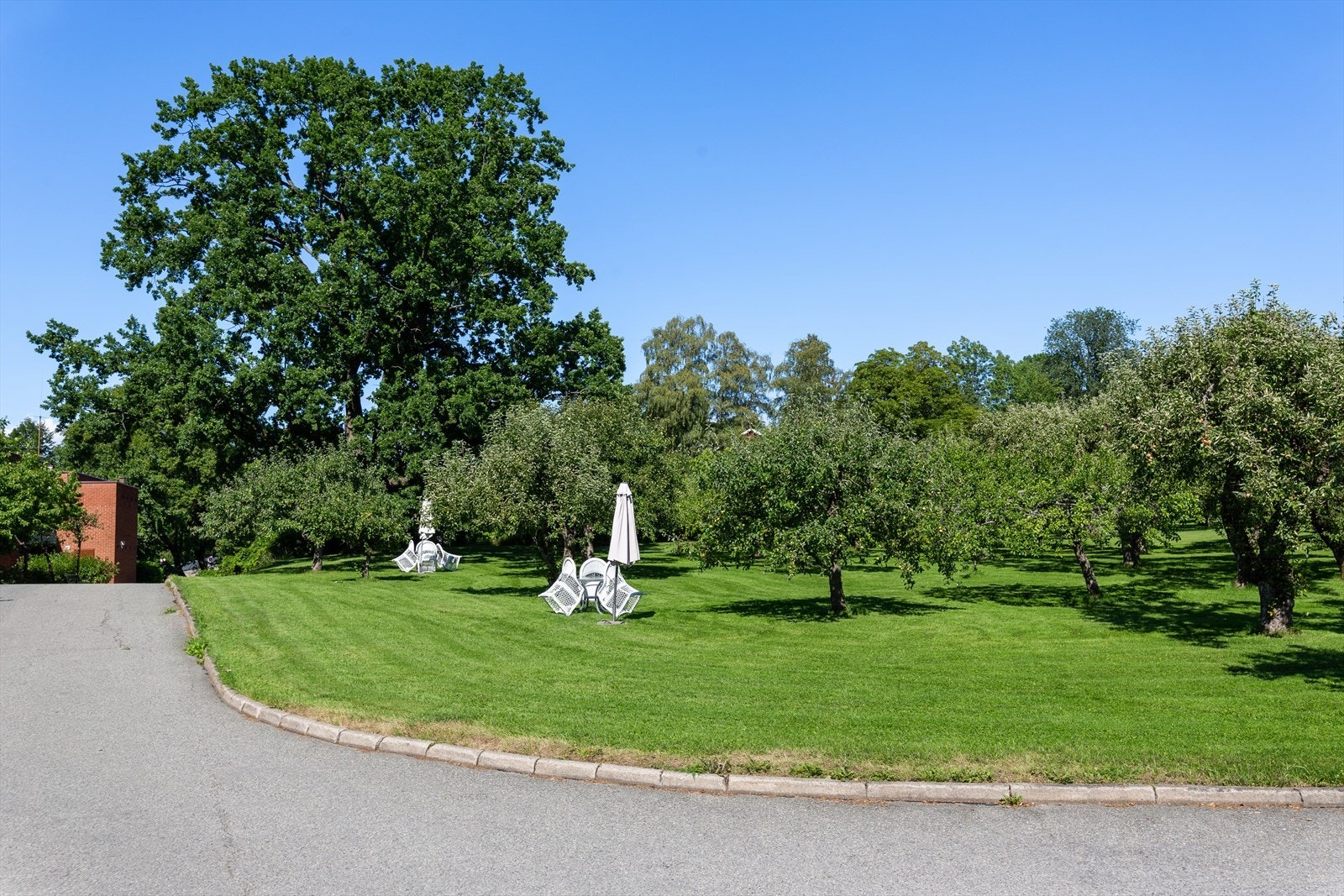 Fellesarealer Galleribilde