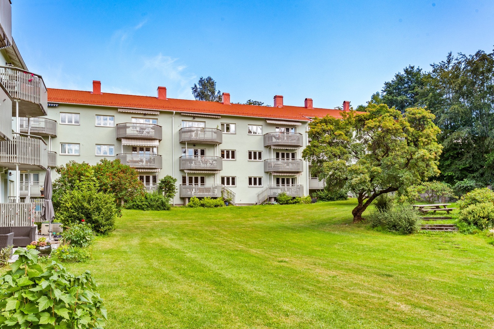 Felles hage. Galleribilde