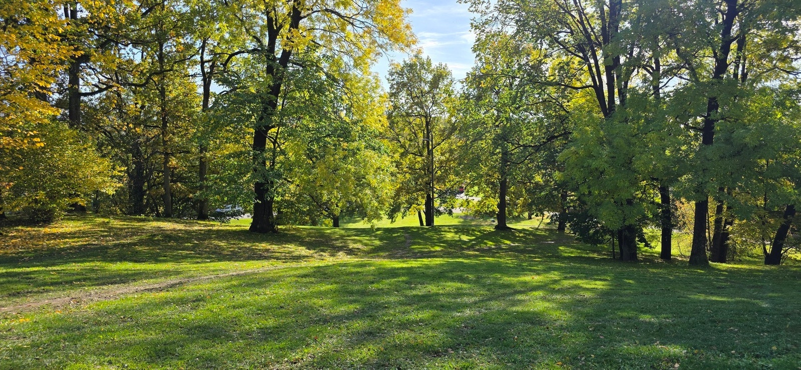 Damefallet er den lokale parken som leder til marka på vinterstid. Akebakke om vinteren. Galleribilde