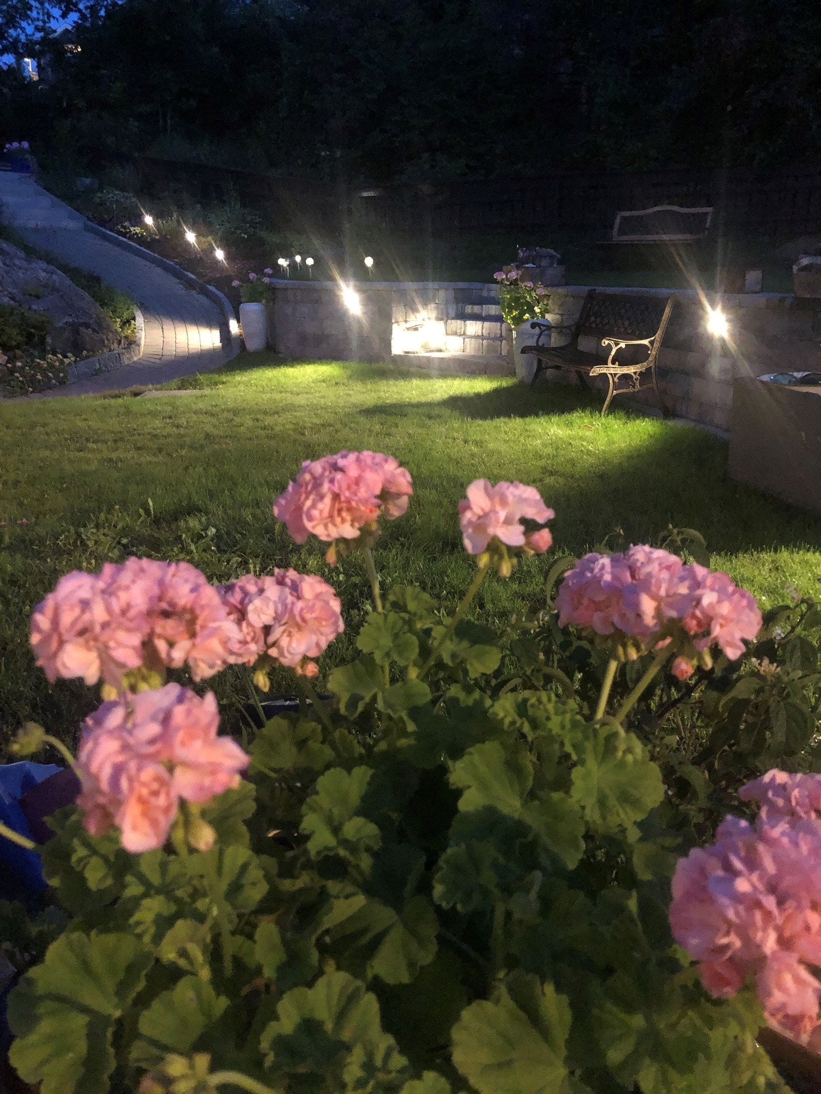 Selgers private sommerbilder Galleribilde