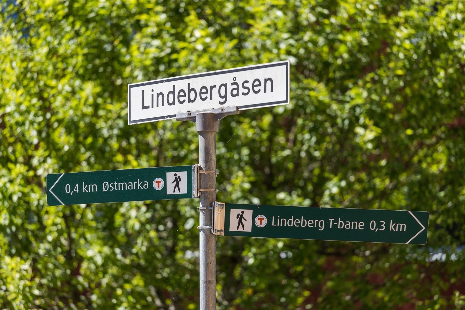 Området inviterer til et rikt tur- og friluftsliv med flotte turstier, lysløyper og bade- og fiskevann i umiddelbar nærhet. Galleribilde