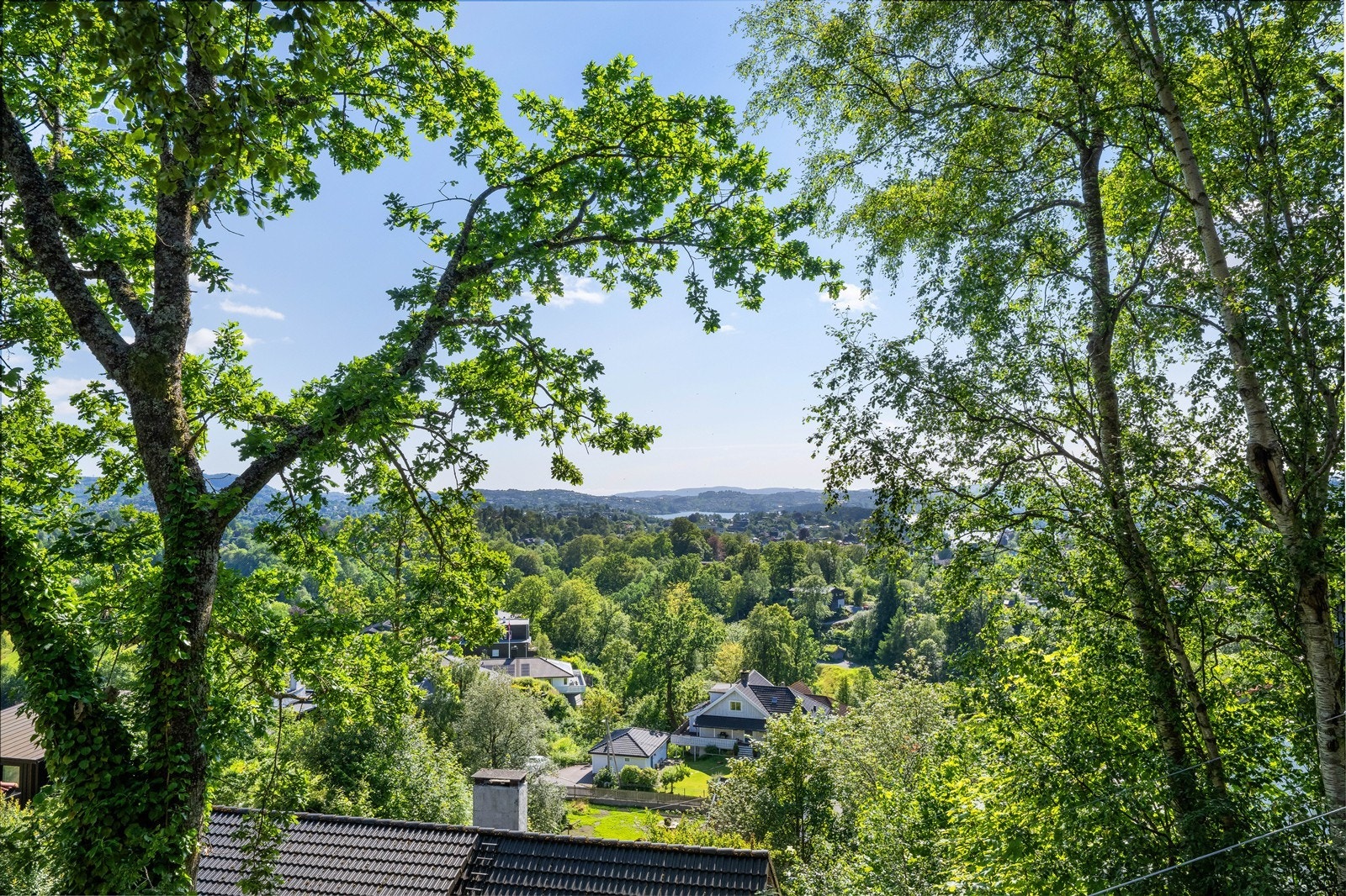 Nyt utsikten over grønne omgivelser direkte fra stuen og terrassen. Galleribilde