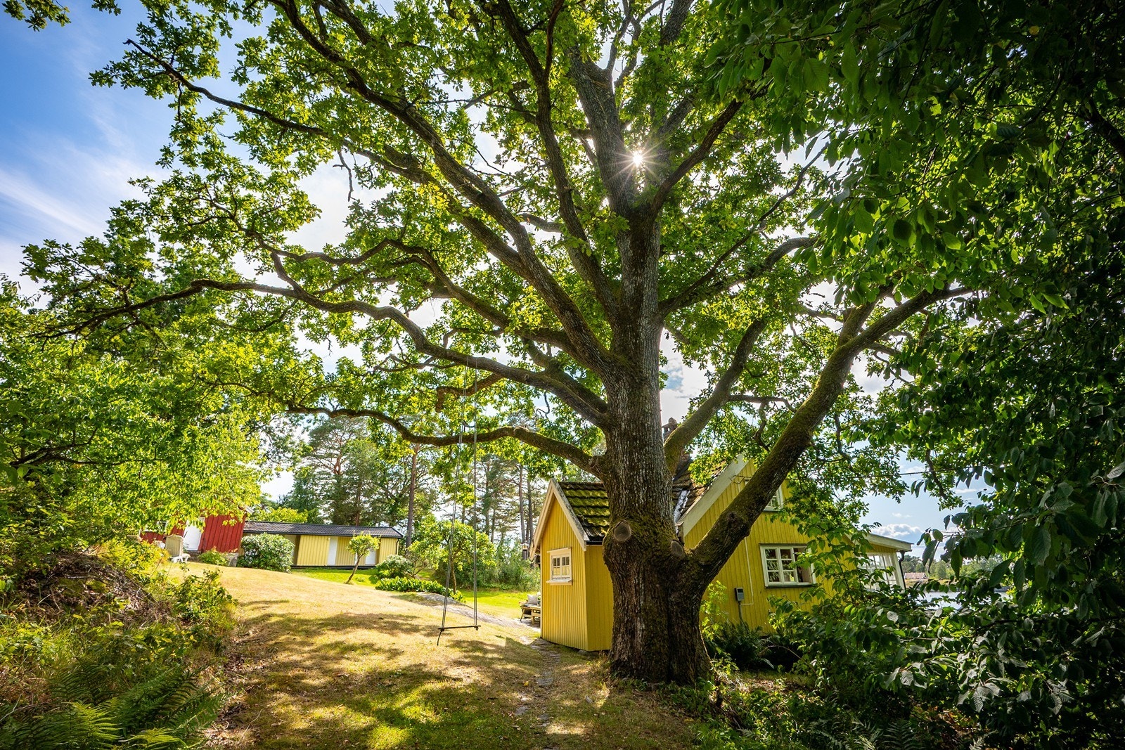 Eiendommen består av to tomter med hvert sitt bnr. Tomten er på over 8, 8 mål. Galleribilde
