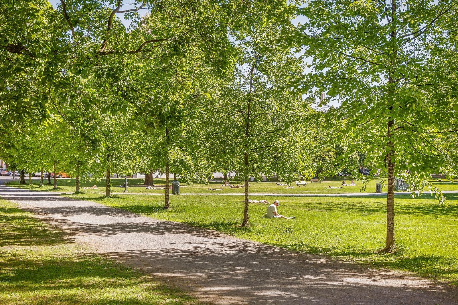 Området byr på store grøntarealer, blant annet Sofienbergparken. Her kan man nyte late sommerdager med en god bok. Galleribilde