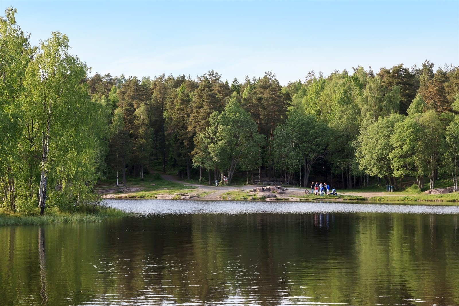 Vesletjern er et flott badevann i Lillomarka og som ligger i gangavstand fra boligen. Galleribilde