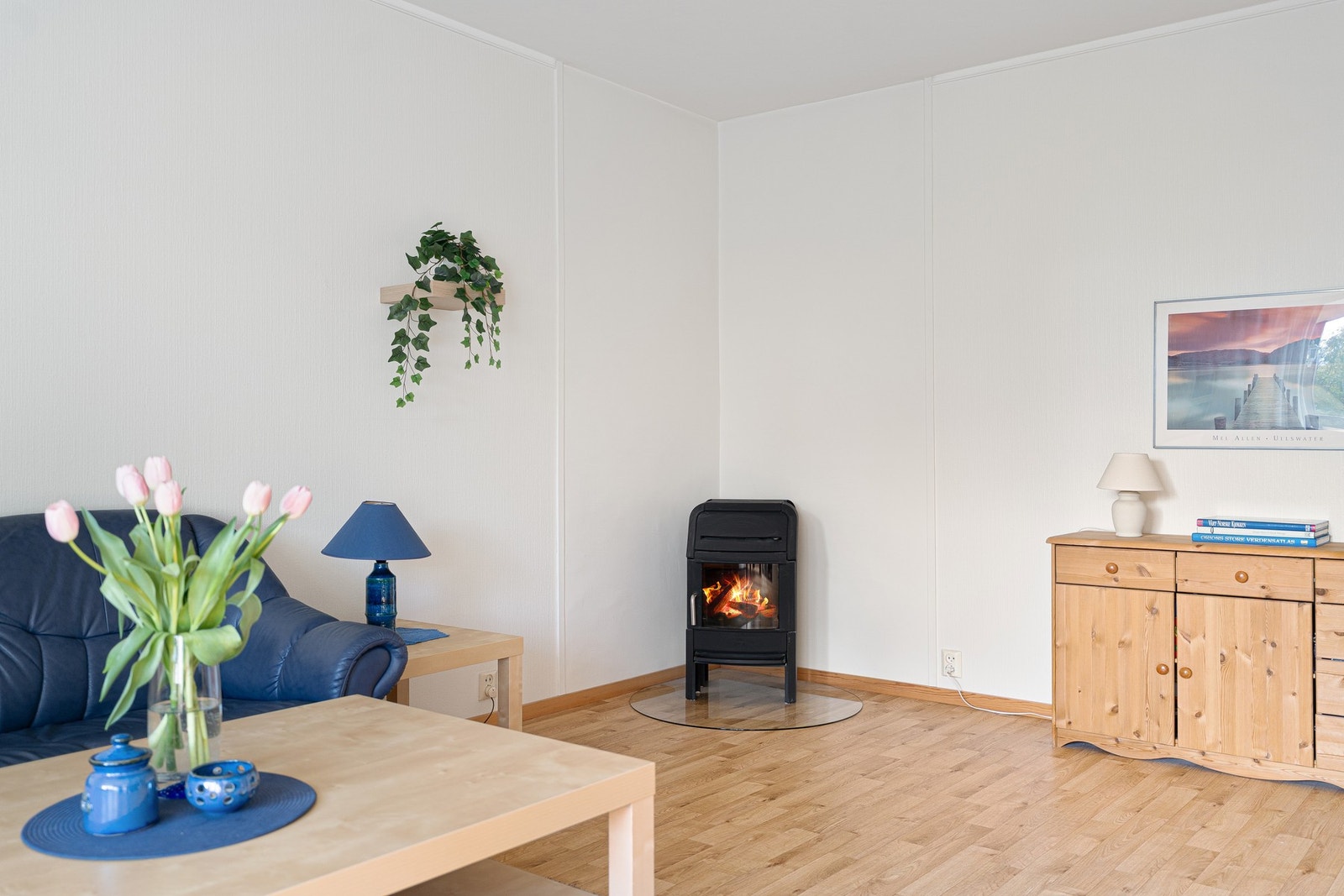 Vedovn. Vedfyring er et hyggelig alternativ som hjelper å holde energikostnadene lave. Galleribilde