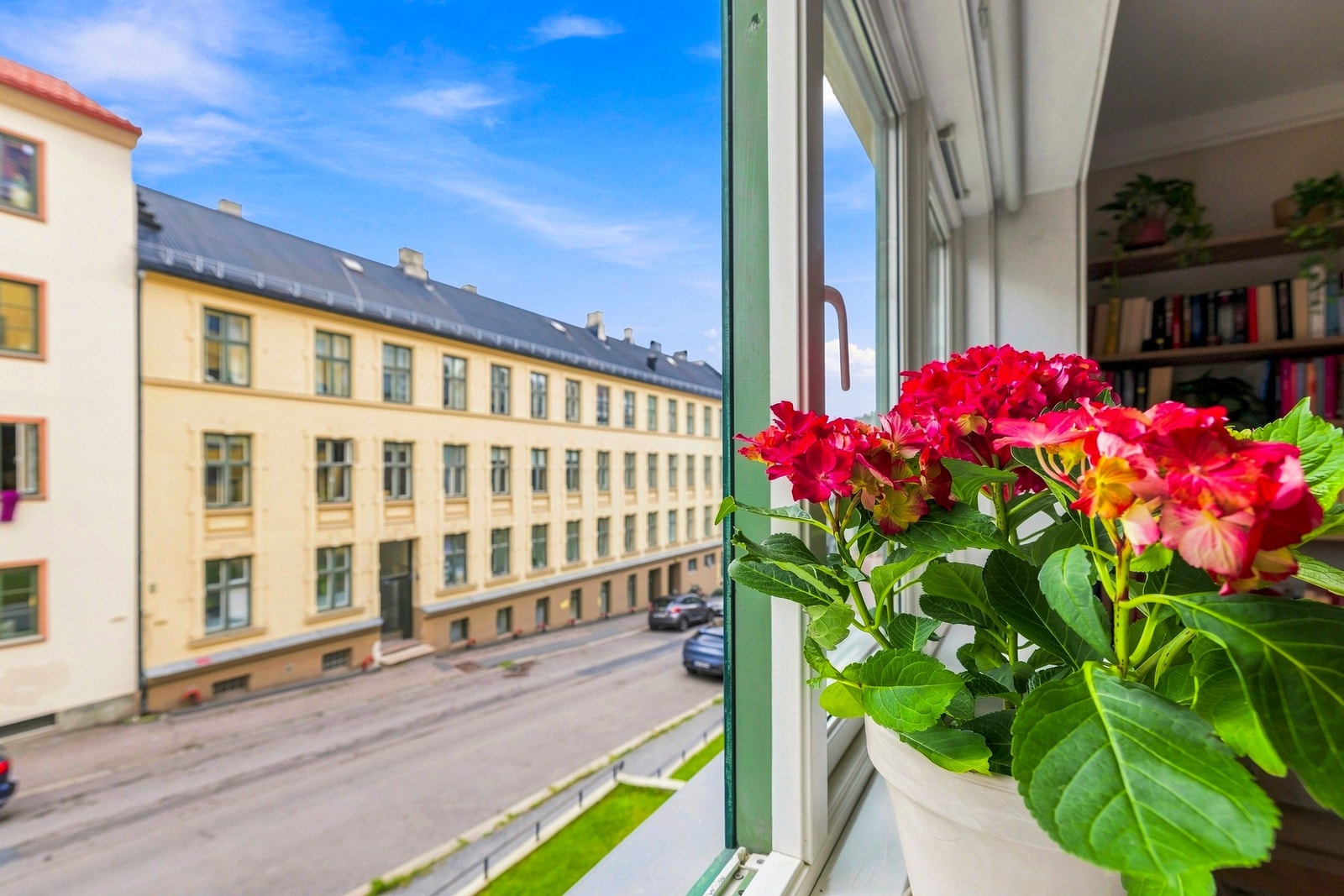 - Utsikt - Galleribilde