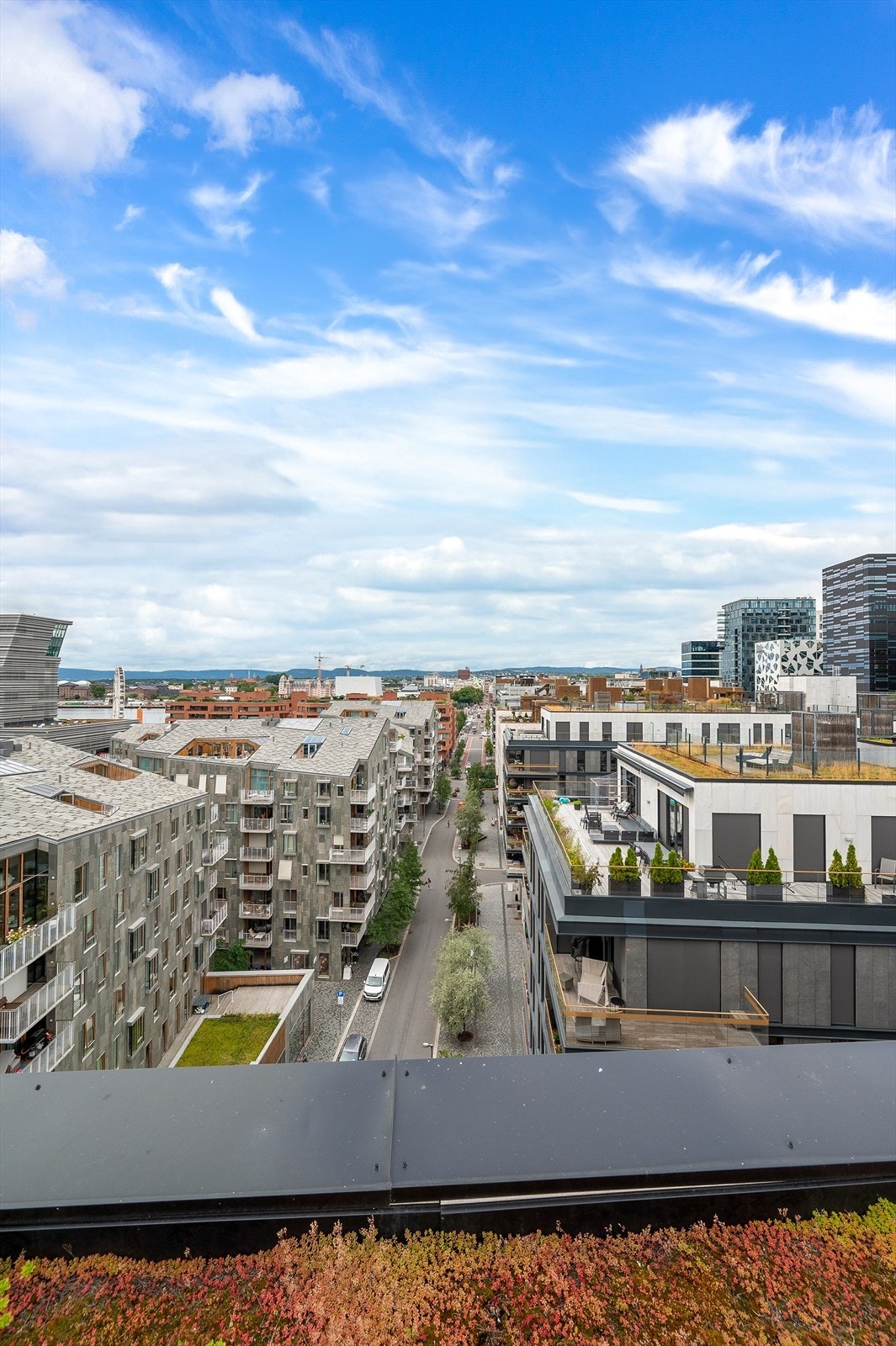 Utsikt fra takterrassen Galleribilde
