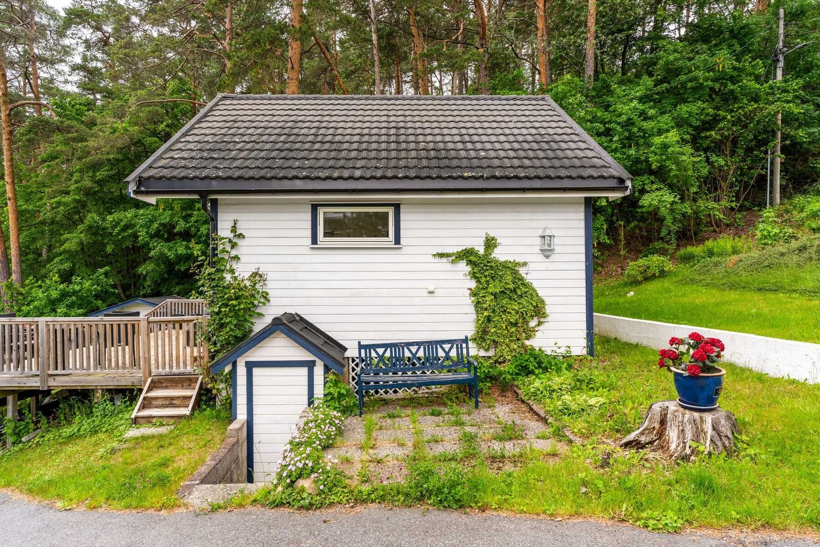 Usjenert og naturskjønt, omgitt av trær. Galleribilde