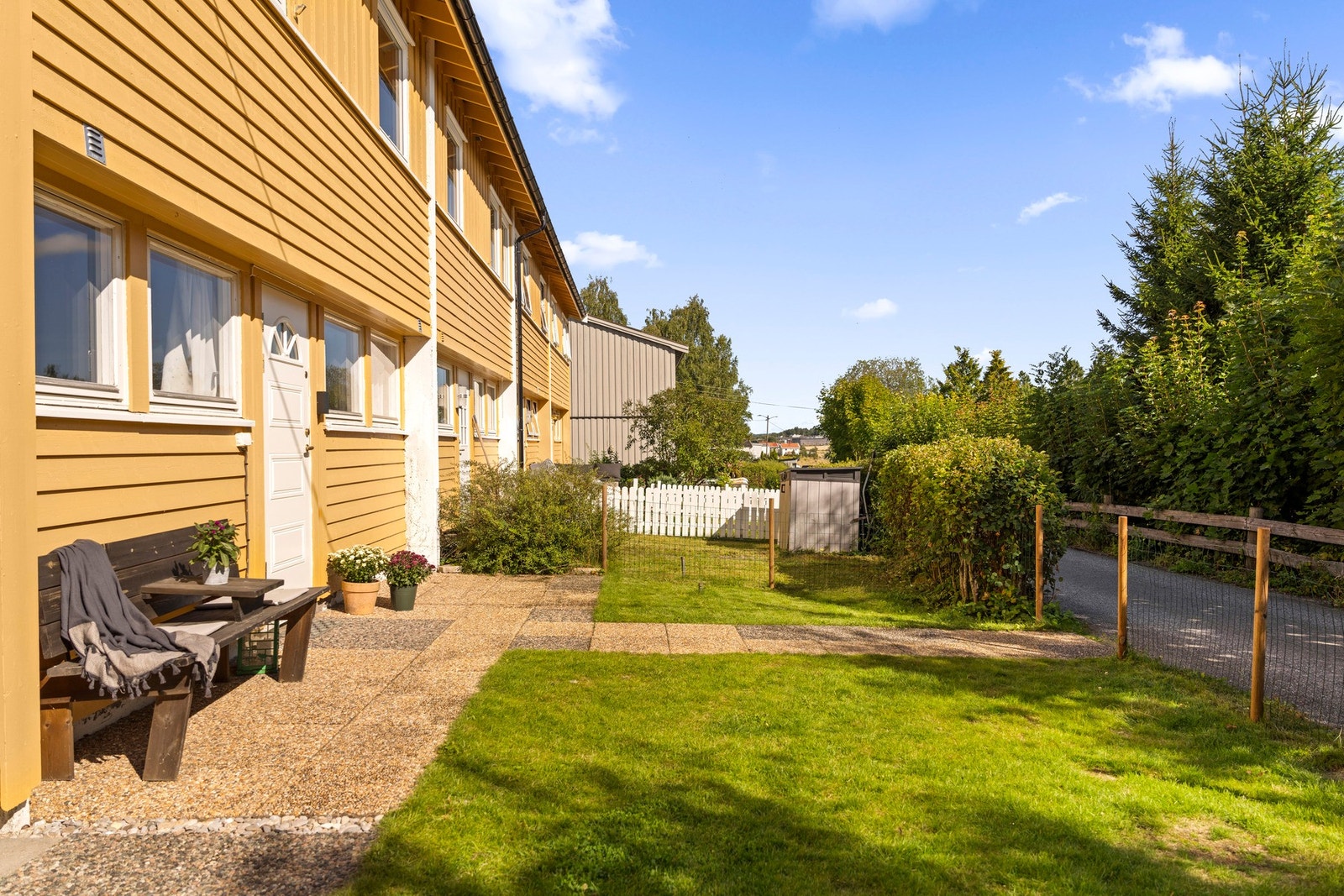 Flott forhage Galleribilde