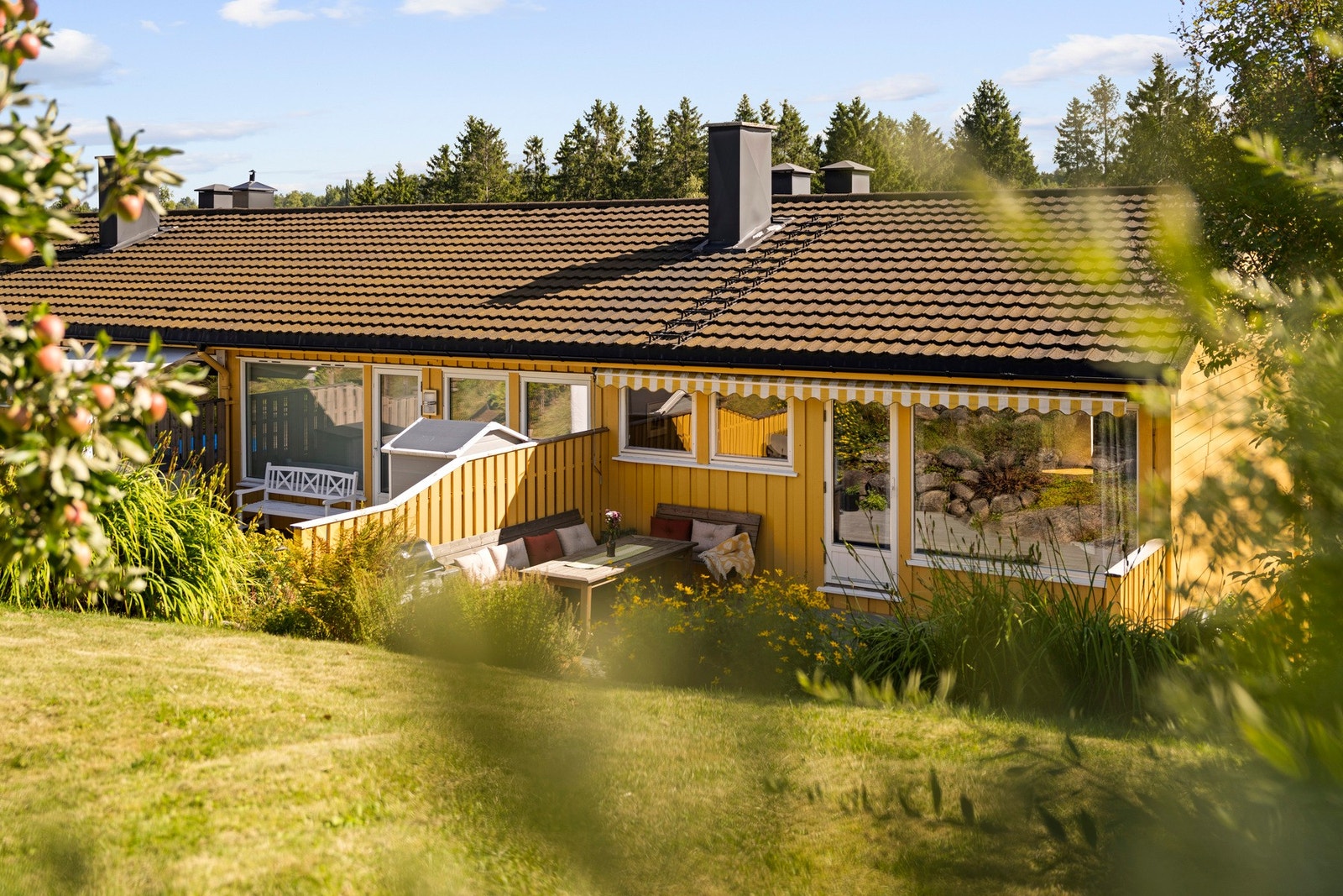 Romslig hage/tomt Galleribilde