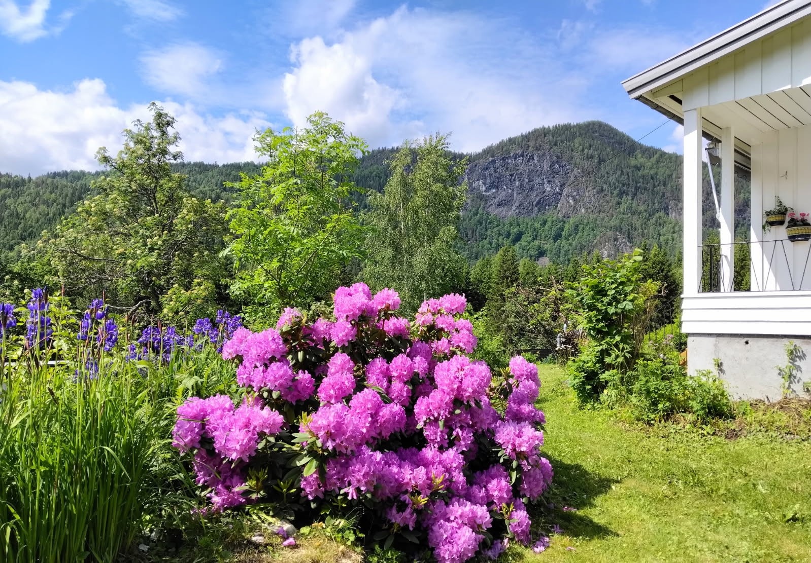 Privat bilde Galleribilde
