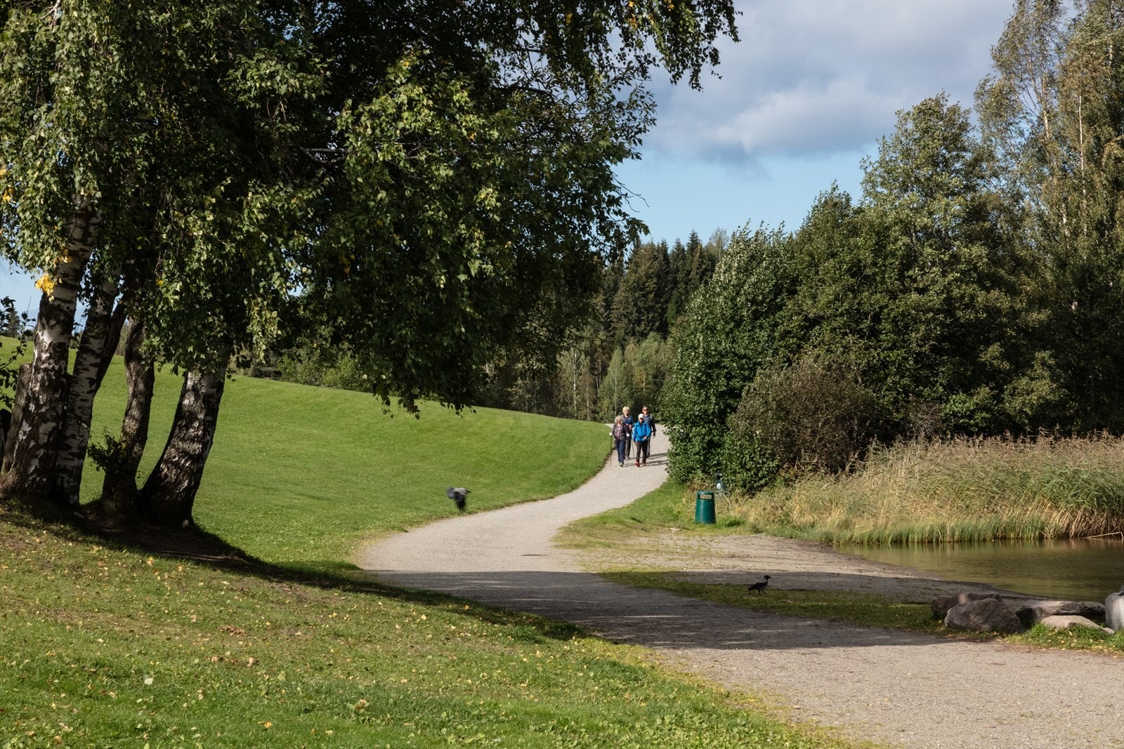 Nordbytjernet med tur muligheter og bading. Galleribilde