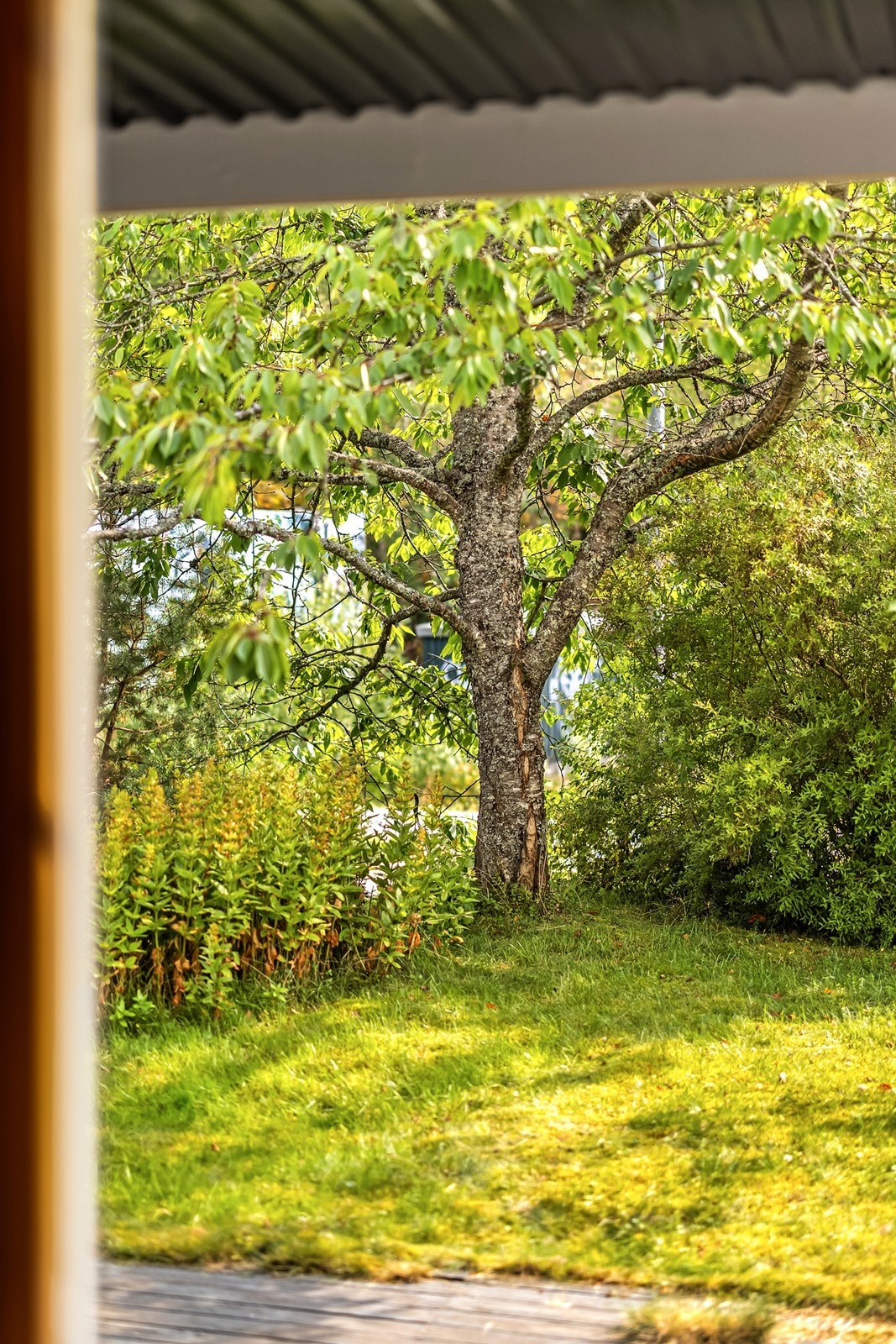 Beliggenheten ytterst i feltet og plasseringen i 1. etasje gir en usjenert hage med hyggelig beplantning. Galleribilde