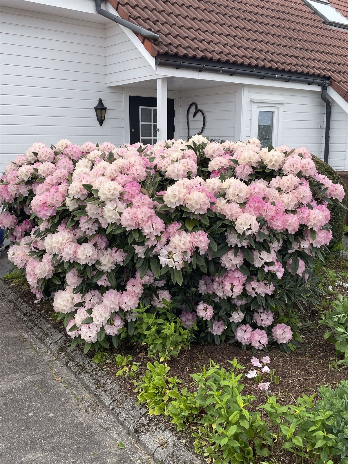 Eiendommen fremstår velholdt både ute og inne. Galleribilde