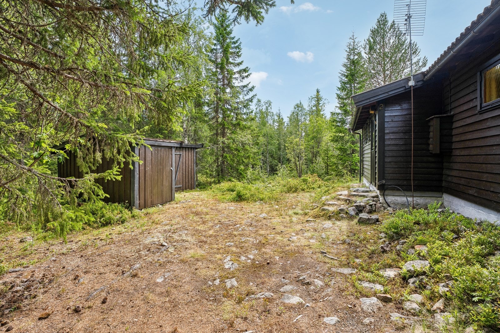 Tomten er en naturtomt, omgitt av skog og vegetasjon. Galleribilde