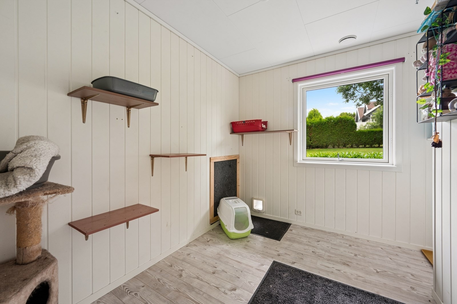 Innredet rom i første etasje, her benyttet som et praktisk rom for husdyr. Galleribilde