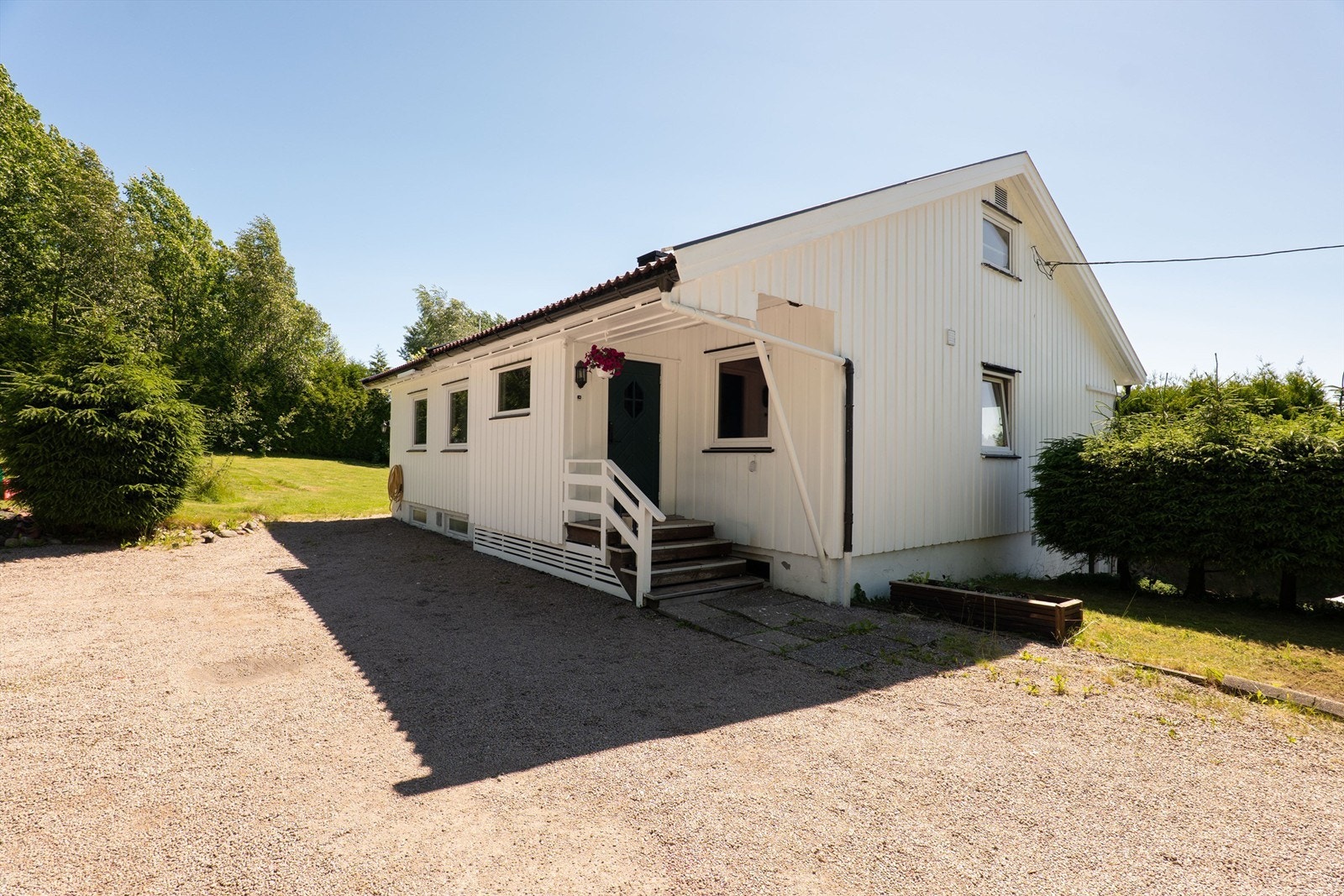 EXPORT-8 Galleribilde