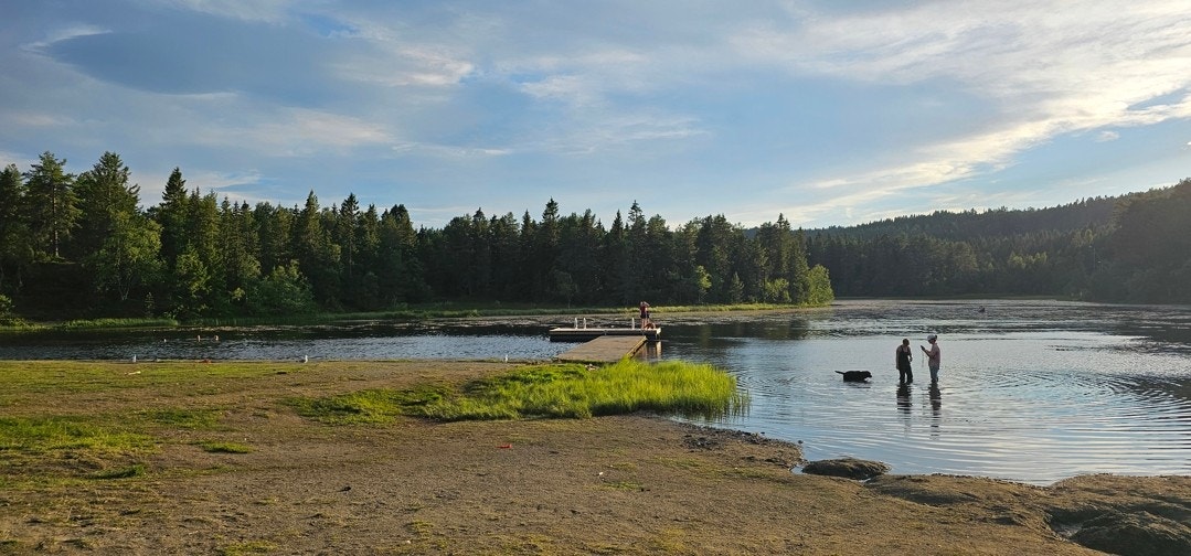 Kyvannet. Galleribilde