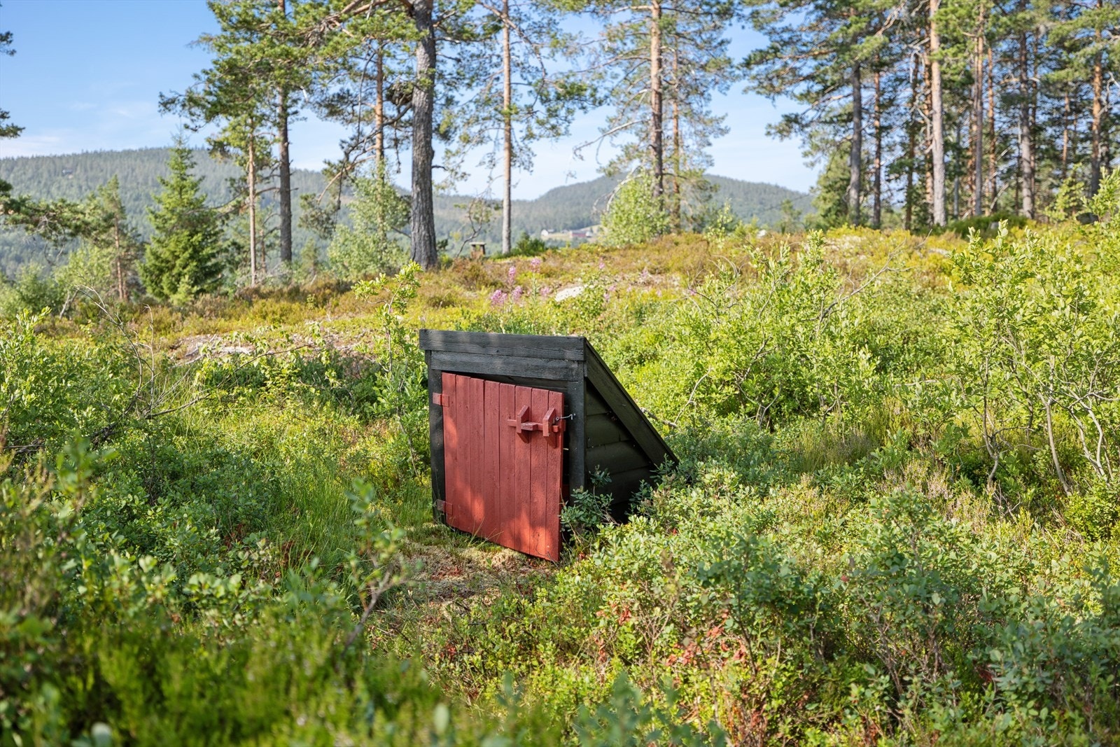 Vann kan hentes fra felles brønn. Galleribilde