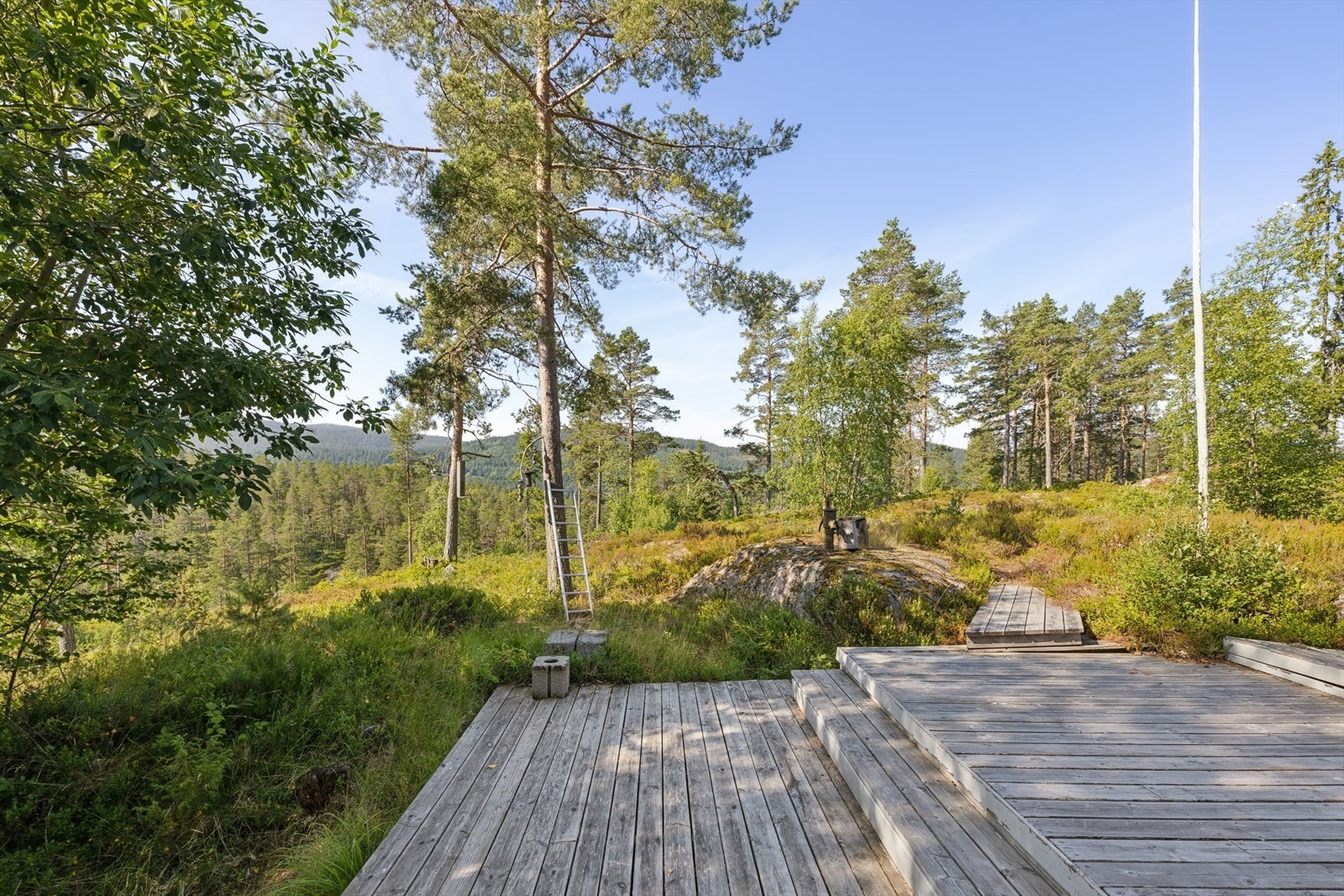 Usjenert beliggenhet i fint skogsterreng. Galleribilde