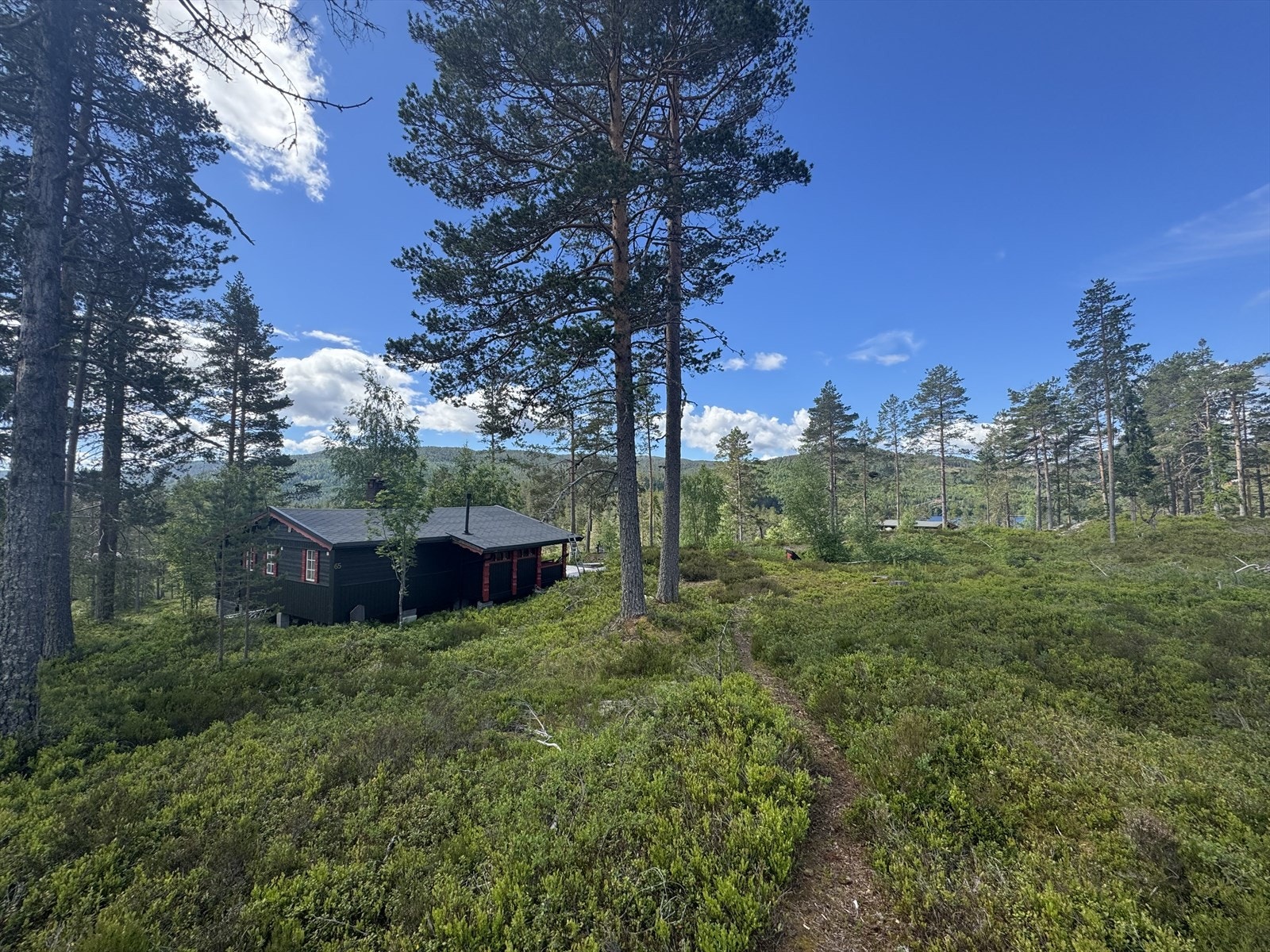 Fin spasertur til Buvannet som du ser i bakgrunn. Galleribilde