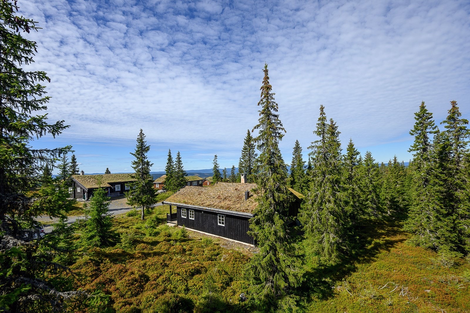 Beliggenhet i det populære hytteområdet Småsætra på Sjusjøen. Veletablerte, stille og rolige omgivelser. Galleribilde