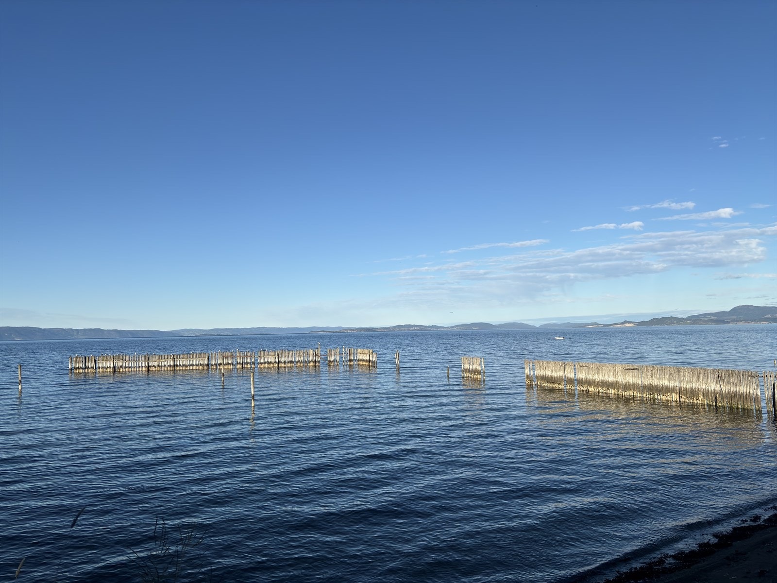 Selgers eget bilde av Tømmerstranda som ligger i nærområdet til leiligheten. I gangavstand fra hjemmet finner man flere grøntområder og benkeplasser langs fjorden hvor man kan nyte flotte parkområder med gode bademuligheter rett ved Trondheimsfjorden. Galleribilde