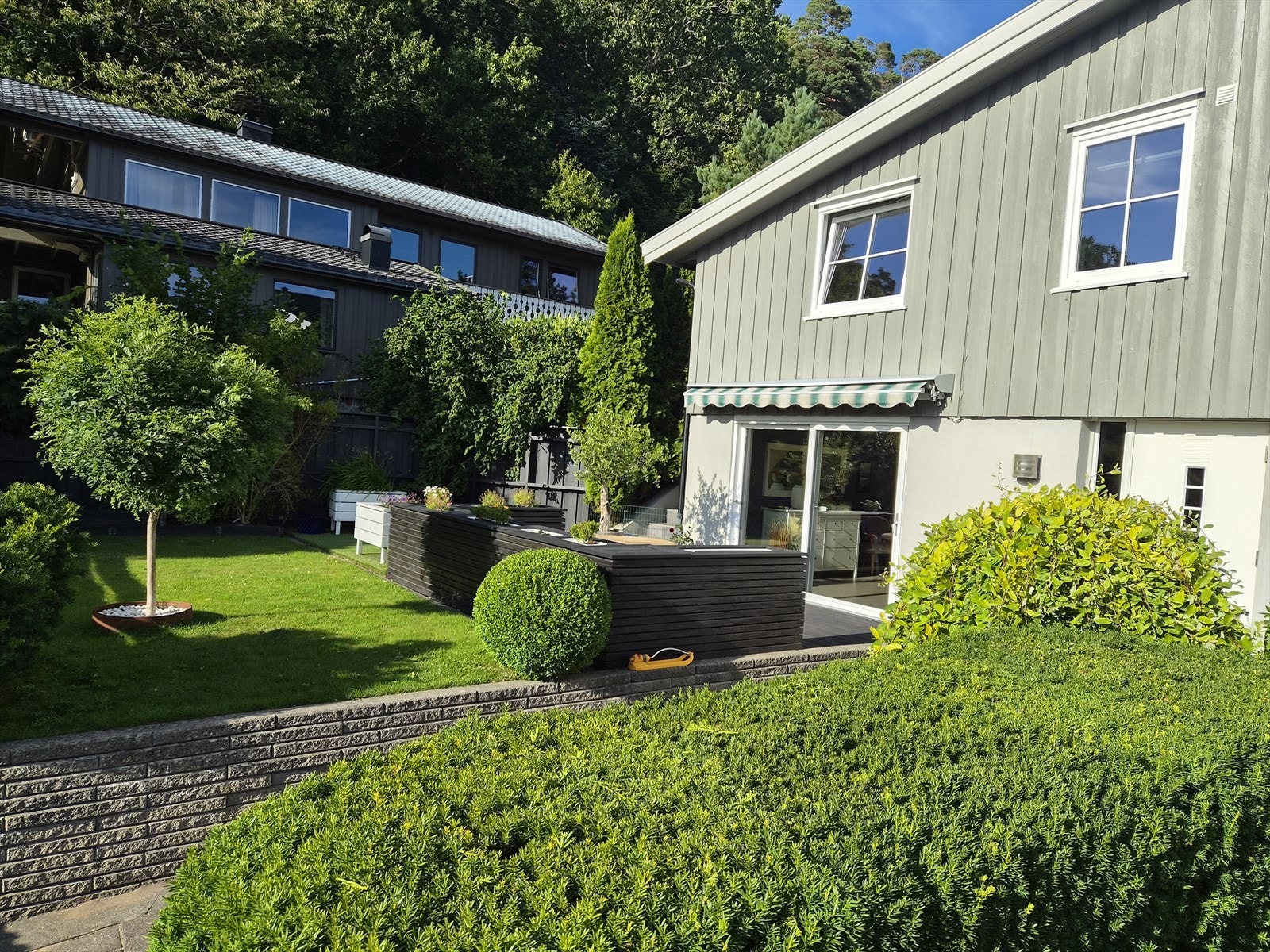 Selgers bilde sommer 26 Galleribilde