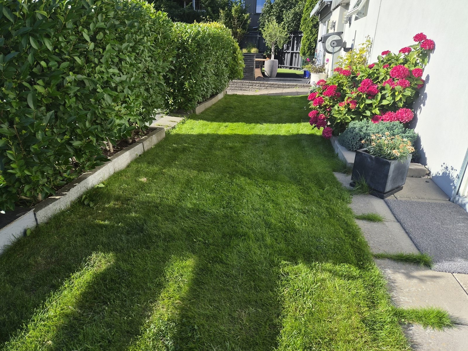Selgers bilde sommer 26 Galleribilde