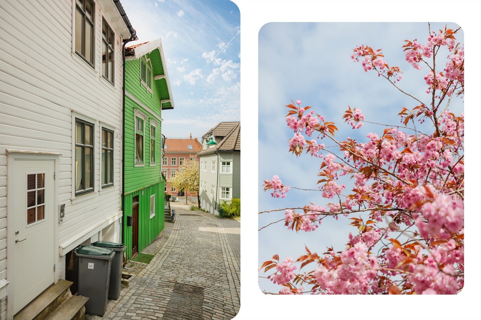 - Her har du muligheten til å bo i en ordentlig trivelig gate i populære Sandviken - Galleribilde