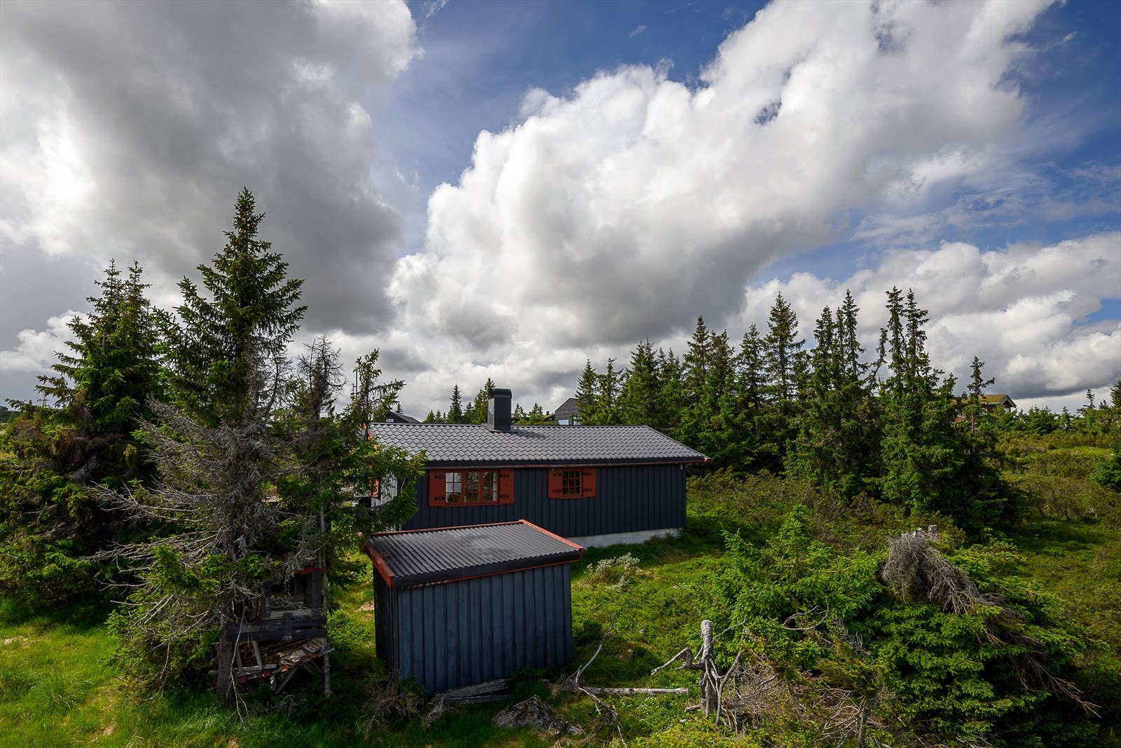 I tillegg til hytta er det et frittstående uthus for lagring på tomten. Galleribilde
